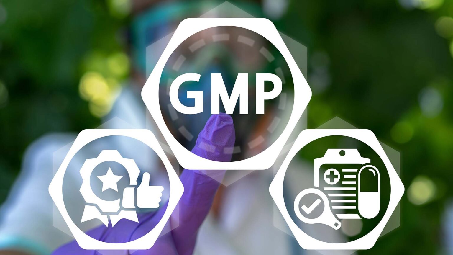 Sự khác biệt trong quy định của EU-GMP so với WHO-GMP